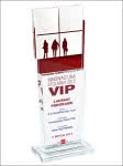 Statuetka laureata konkursu VIP Innowacyjna Stolarka - OknoPlus
